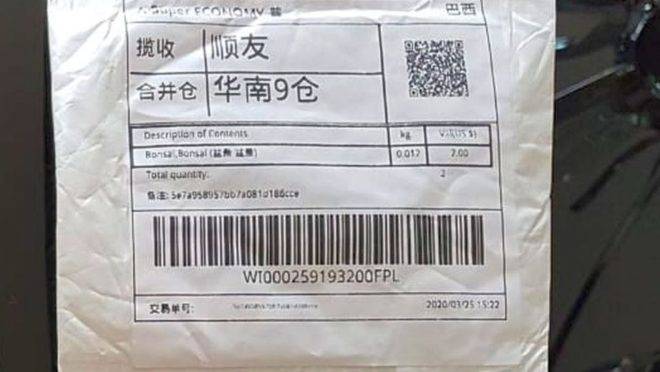 Sementes chegaram em uma encomenda vinda da China na casa de uma moradora de Curitiba, sem terem sido solicitadas