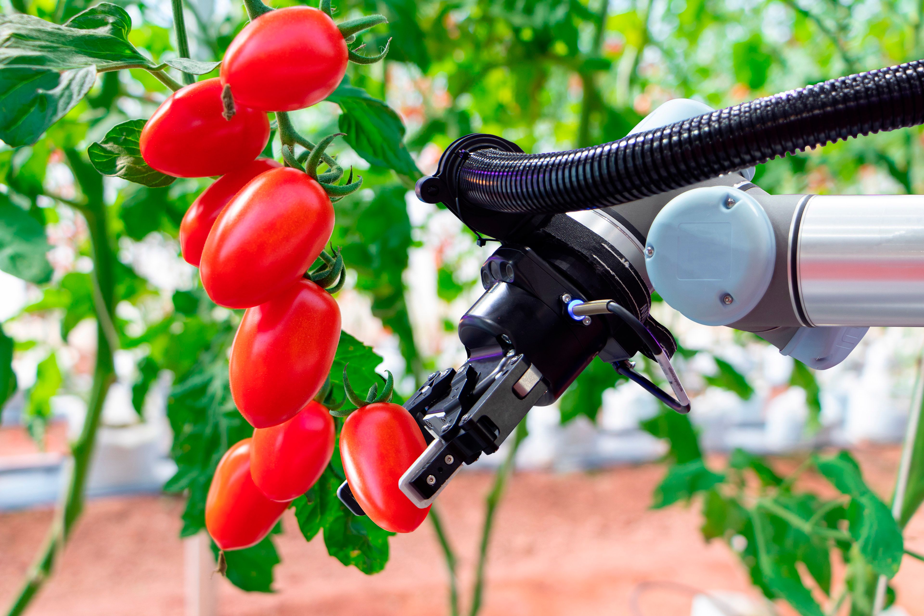 Como as profissões atuais vão se comportar no futuro? Uma análise das tendências.