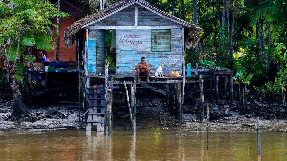 População nativa da Amazônia precisa comer e trabalhar para sobreviver. Isso os ambientalistas radicais não entendem.