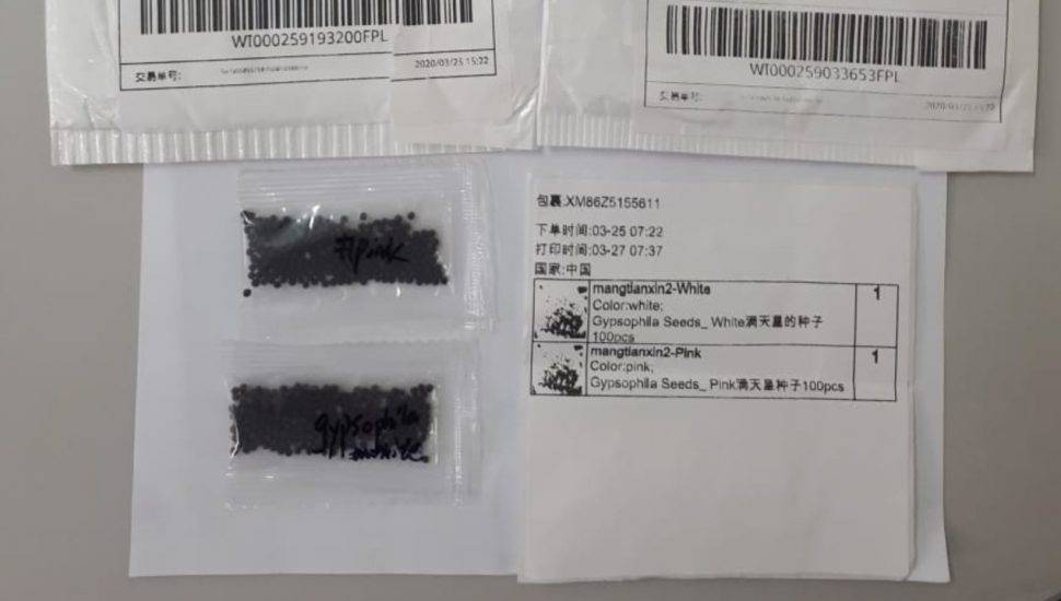 Sementes da China enviadas ao Paraná