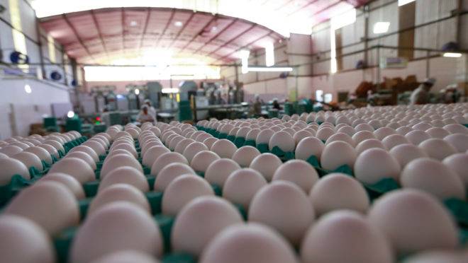 GRANJA DE FRANGO SETIMO CEU NA CIDADE DE ITANHANDU