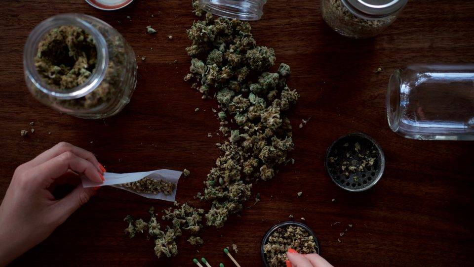 Governo de Nova Jersey prioriza legalização da maconha em plena pandemia Governo de Nova Jersey tornou a legalização de maconha uma prioridade (Imagem ilustrativa/Reprodução/Unsplash)