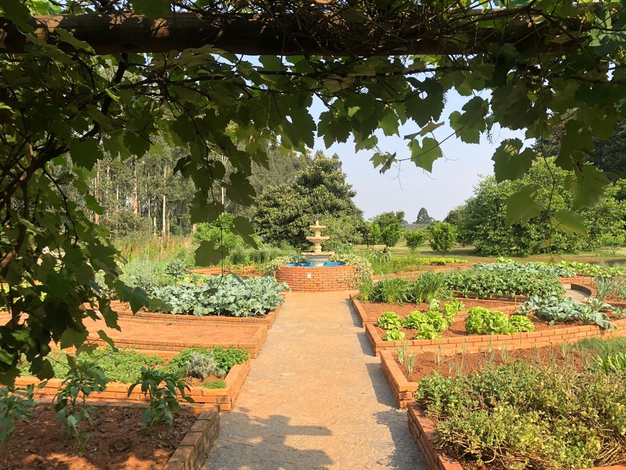 A Horta Orgânica é um dos pontos a serem visitados nos 170 hectares de área do hotel. As refeições do restaurante são repletas de produtos colhidos na própria horta fazendo jus ao conceito Farm to Table (da fazenda à mesa). Foto: Marja Nunes Kraft A Horta Orgânica é um dos pontos a serem visitados nos 170 hectares de área do hotel. As refeições do restaurante são repletas de produtos colhidos na própria horta fazendo jus ao conceito Farm to Table (da fazenda à mesa). Foto: Marja Nunes Kraft