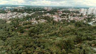 Nova lei define dois tipos de unidades de conservação em Curitiba Unidades de conservação