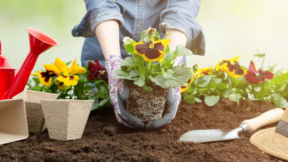 Área verde privativa passa de desejo a imperativo para a compra do novo imóvel Área verde privativa passa de desejo a imperativo para a compra do novo imóvel