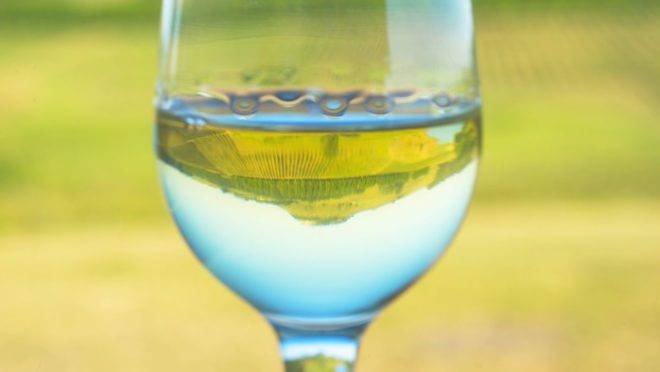 Vinho em vinícola