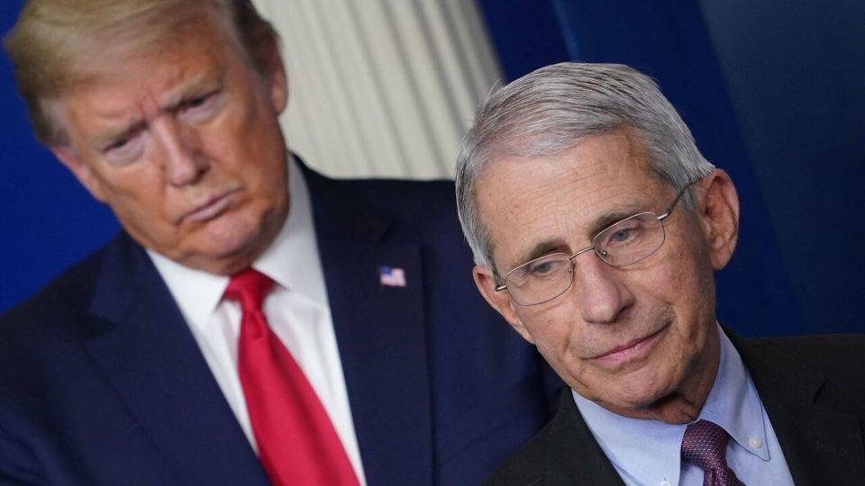 derrotou Trump