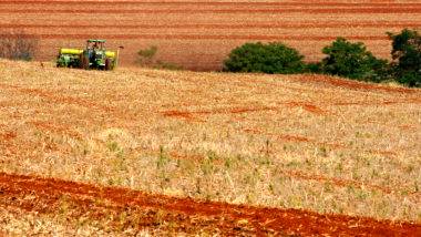Produtor associado à Cocamar em sua plantação de soja