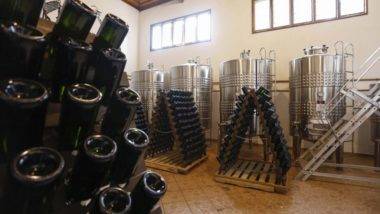 Projeto quer fortalecer produção de vinhos no Paraná