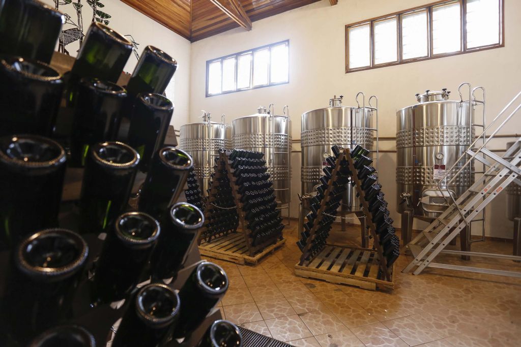 Projeto quer fortalecer produção de vinhos no Paraná