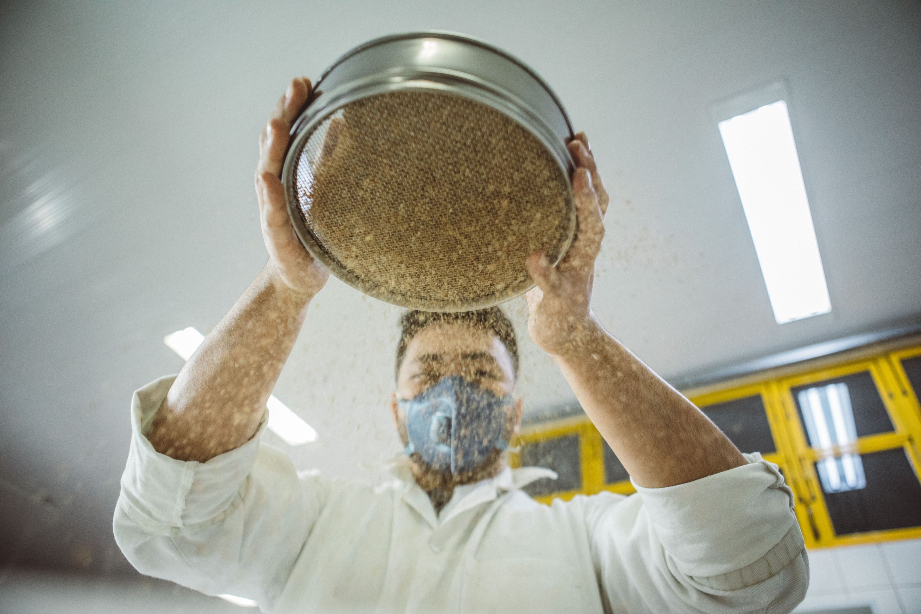 Produção do micélio que dará origem às peças utiliza subprodutos da agroindústria. Produção do micélio que dará origem às peças utiliza subprodutos da agroindústria.