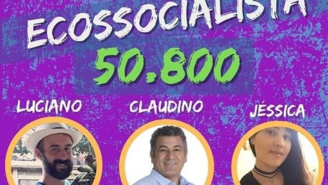 Mandato coletivo