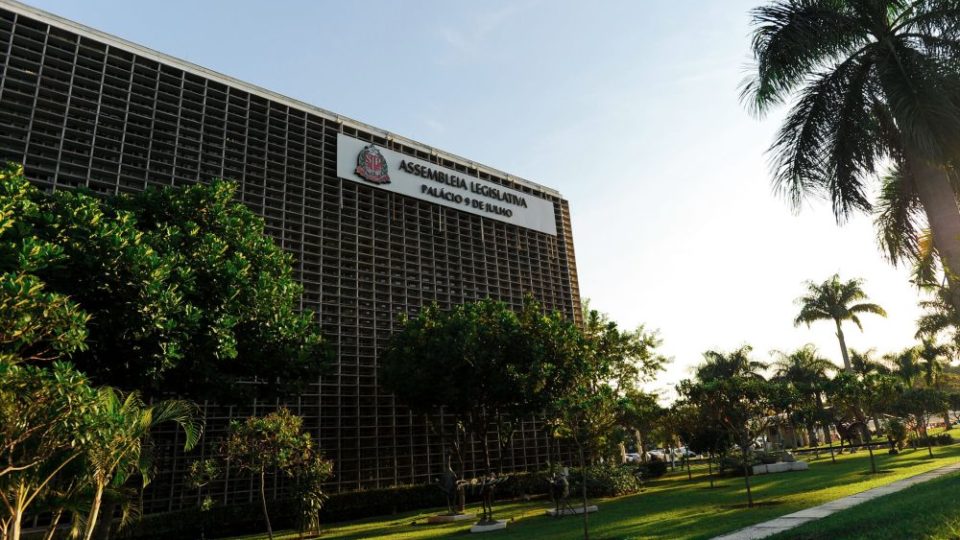 SP pode proibir linguagem neutra