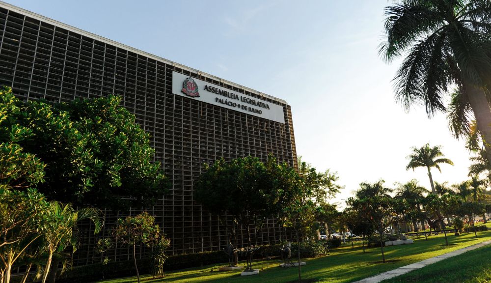 SP pode proibir linguagem neutra