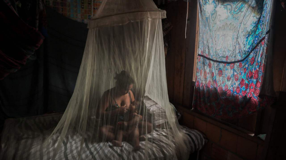 O vírus da fome: como a Covid-19 e a desnutrição andam de mãos dadas no Brasil Brasil conseguiu reduzir a pobreza em ano de pandemia, mas efeito é temporário