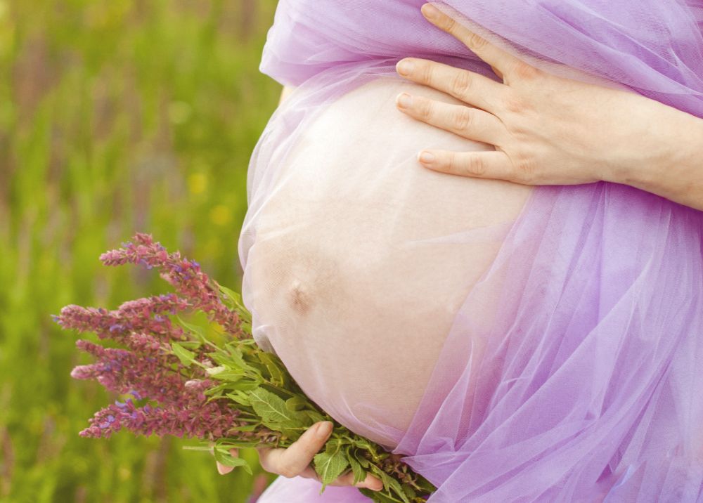 Estatuto da Gestante é protocolado no Senado