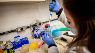 Testes com vacina da UFPR para a Covid-19.