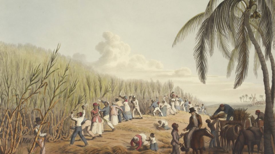 Os negócios da escravidão Para os revisionistas, que se danem os europeus escravizados, os povos pré-colombianos e africanos que faziam da escravidão uma atividade do cotidiano ou um negócio (Imagem: Reprodução/Unsplash).