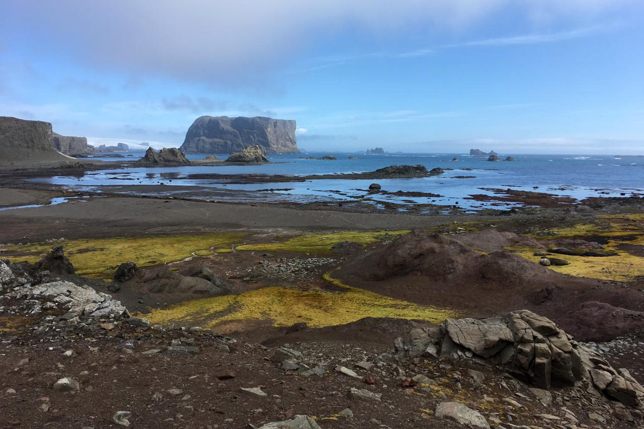 coronavírus antártida