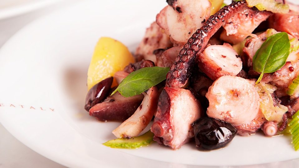 Salada de polvo
