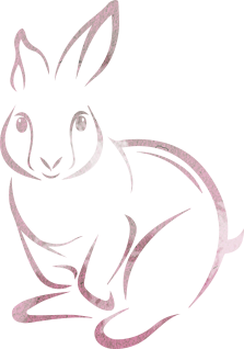 Ilustração Coelho Ilustração Coelho