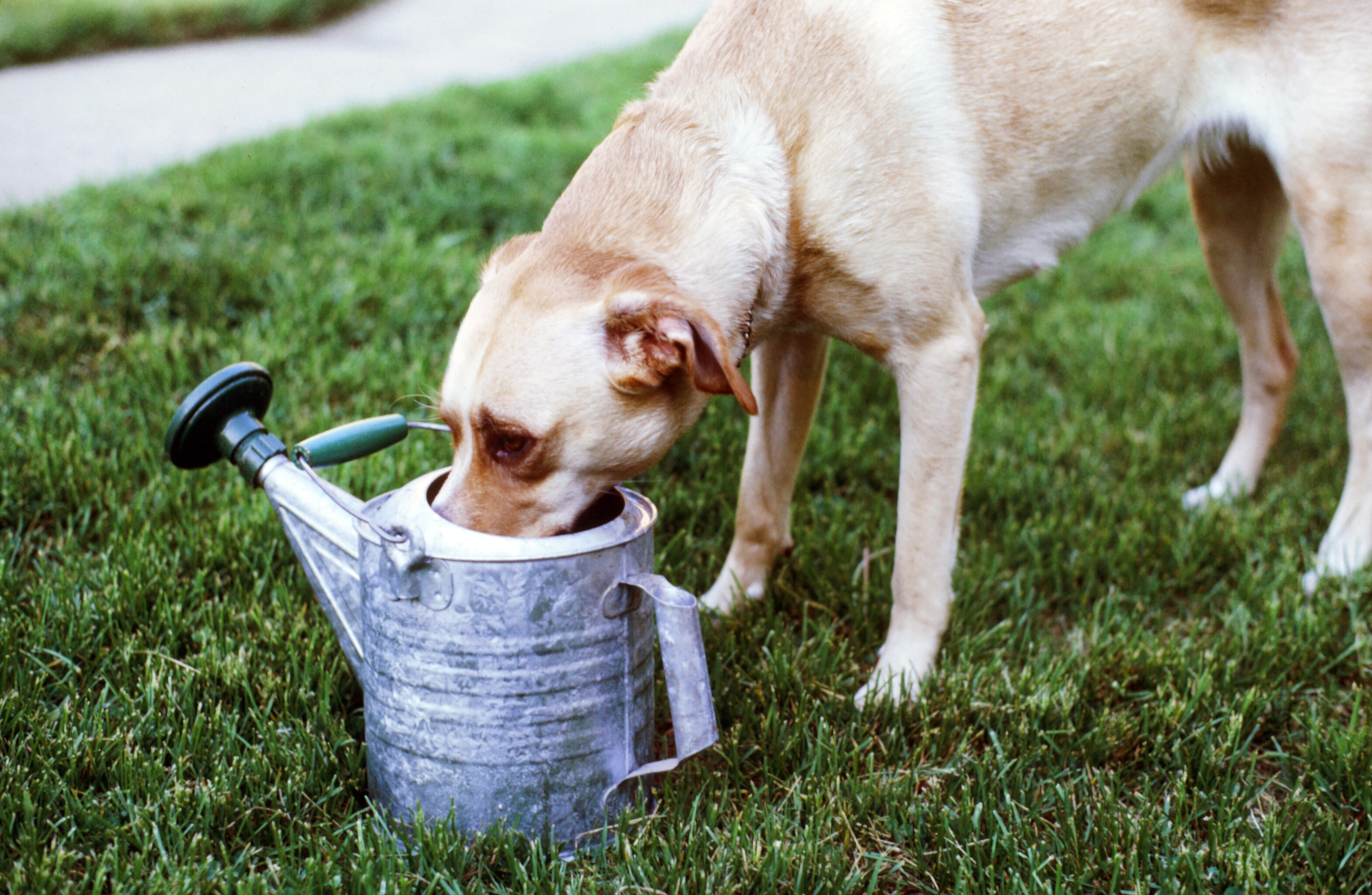Foto: Paul Johnston/Unsplash Foto: Paul Johnston/Unsplash