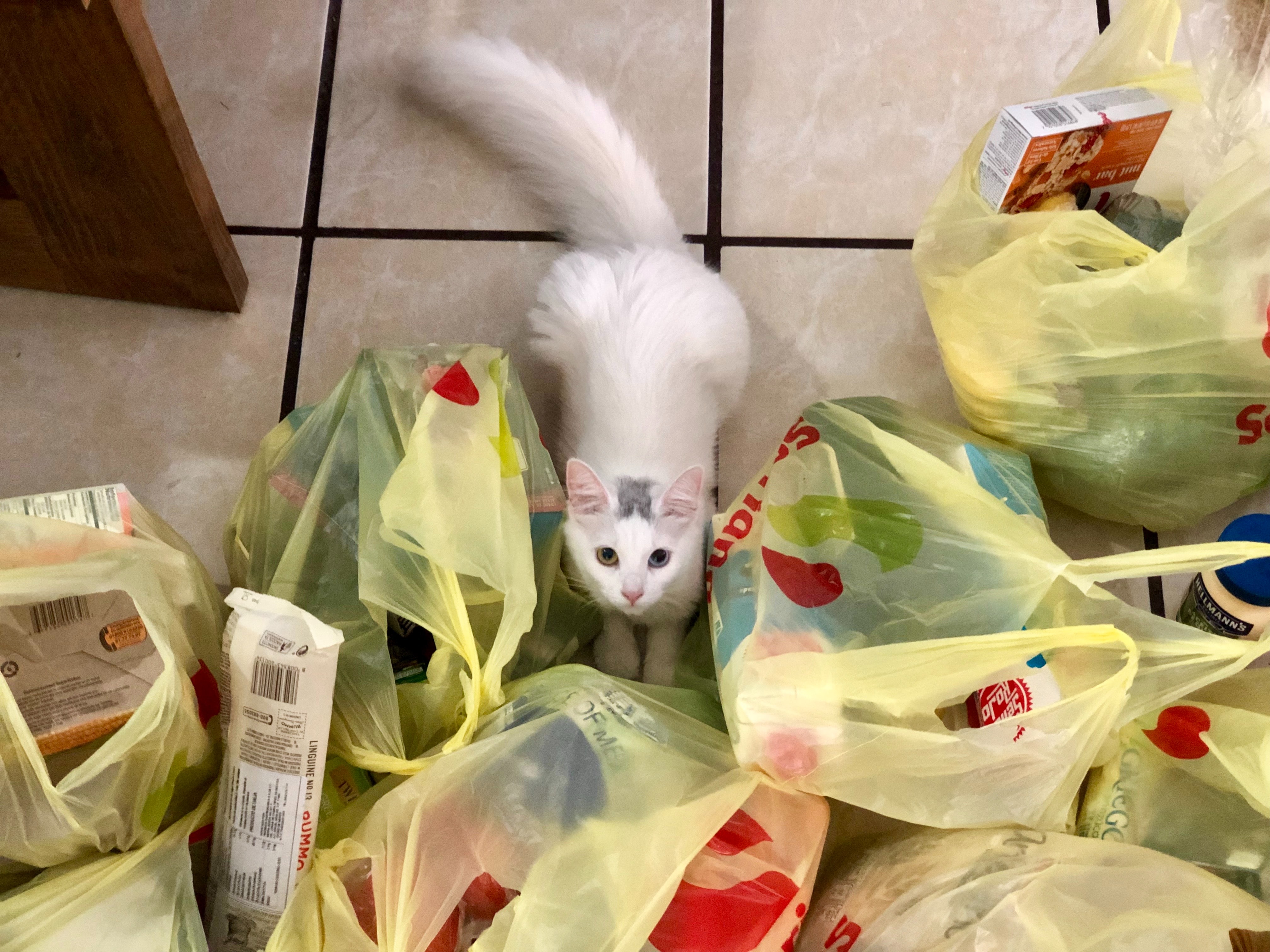 Todos os itens do supermercado necessitam de limpeza prévia antes de serem armazenados. Foto: Daniel Romero/Unsplash. Todos os itens do supermercado necessitam de limpeza prévia antes de serem armazenados. Foto: Daniel Romero/Unsplash.
