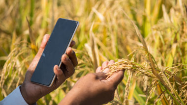 Apenas 23% dos agricultores têm acesso à internet em toda a operação agrícola, segundo pesquisa da McKinsey & Company. Conheça os gargalos da inovação no campo.