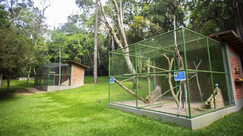 No parque, o cuidado com animais silvestres resgatados e que não têm condições de voltar ao habitat natural faz parte de uma parceria com o Instituto Águas e Terra (IAT)