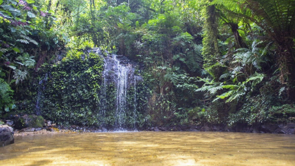A lenda diz que quem se banhasse na cascata, casaria em breve.