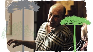 Em pé como as árvores Araucarilândia, projeto José Álvaro da Silva Carneiro