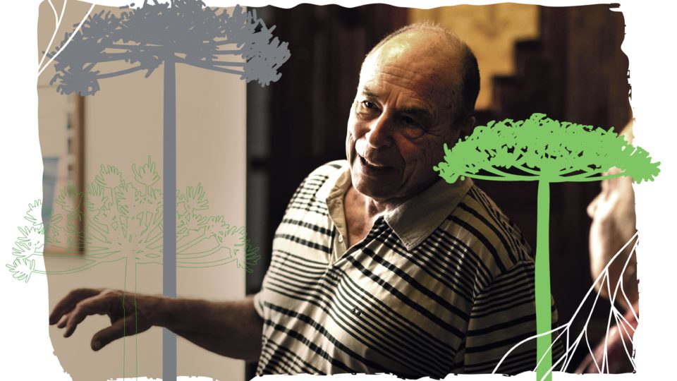 Araucarilândia, projeto José Álvaro da Silva Carneiro