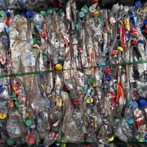 Imagem referente a matéria