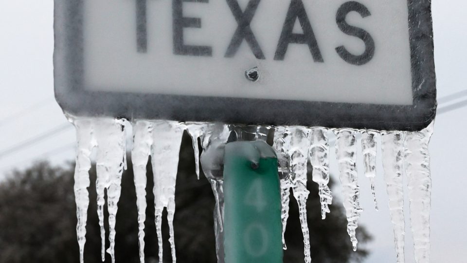 texas frio