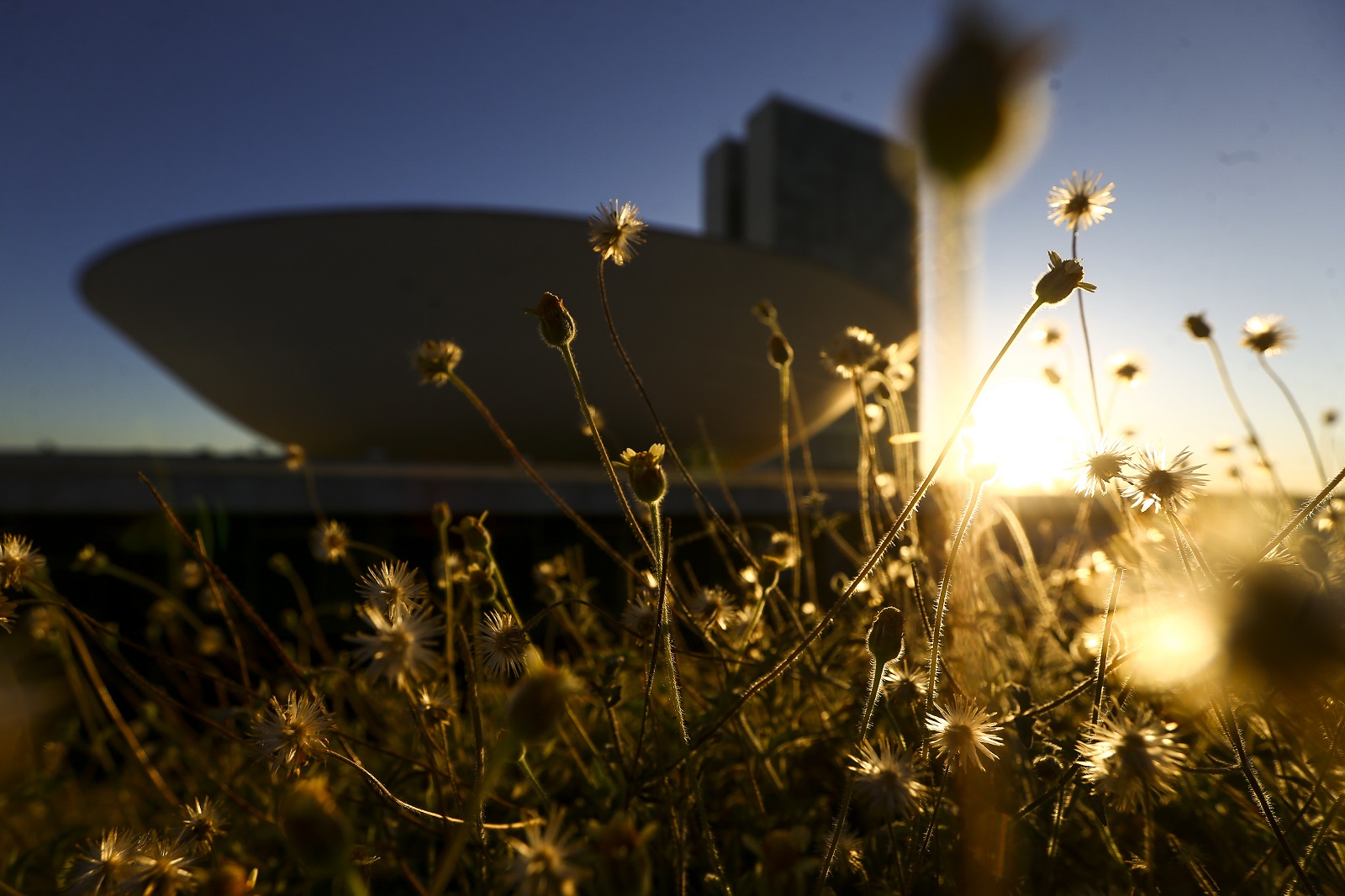 Volume das chamadas emendas "sem carimbo" do Congresso é três vezes maior do que o indicado em 2020, quando foram pagas pela primeira vez.