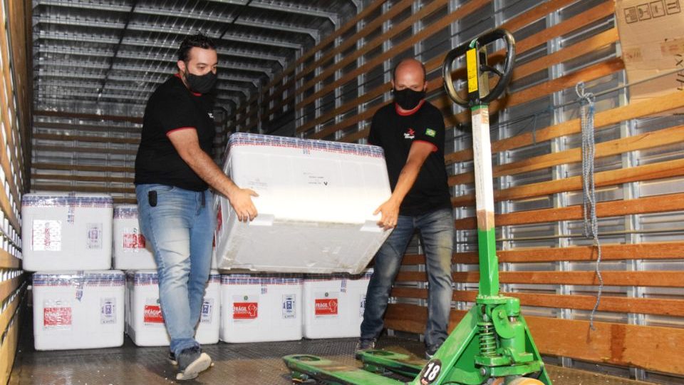 Paraná distribui oitavo lote de vacinas da Covid-19 nesta quinta Paraná distribui oitavo lote de vacinas da Covid-19 nesta quinta