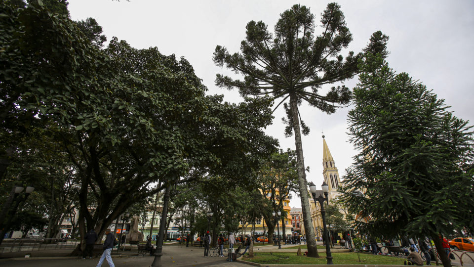Batizada no Belém Araucária na Praça Tiradentes.