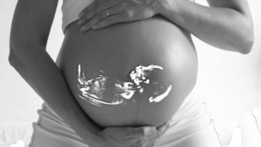 Estatuto da Gestante