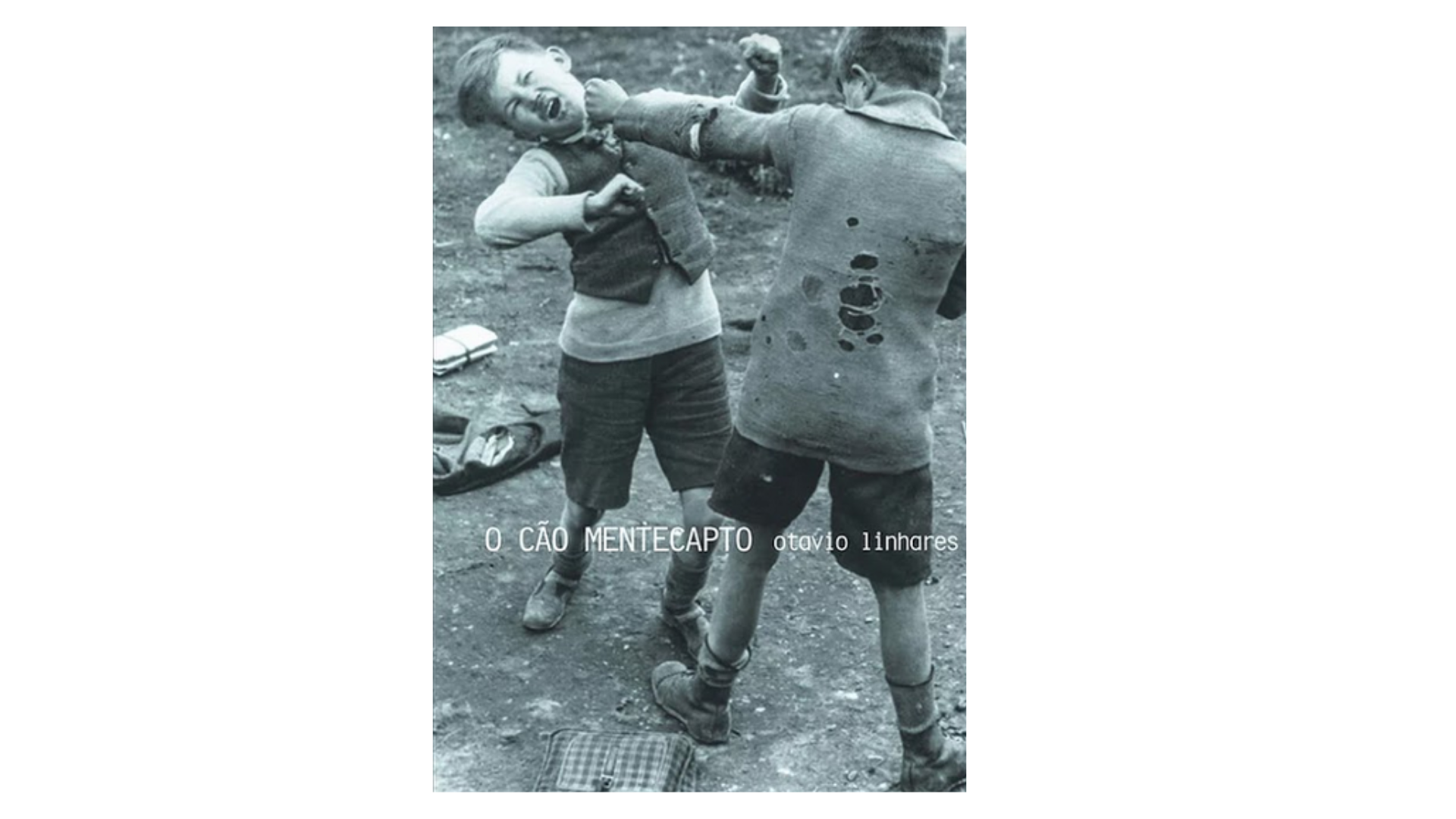 Livro - O Cão Mentecapto Livro - O Cão Mentecapto