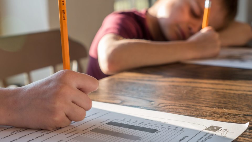 Com matrícula em escolas e avaliações anuais, deputada dará parecer favorável ao homeschooling Homeschooling