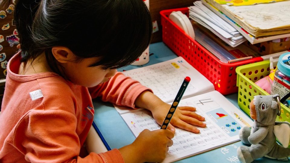 MEC publica indicador socioeconômico da educação básica Fechamento das escolas causam muitos prejuízos aos estudantes no Brasil e no mundo