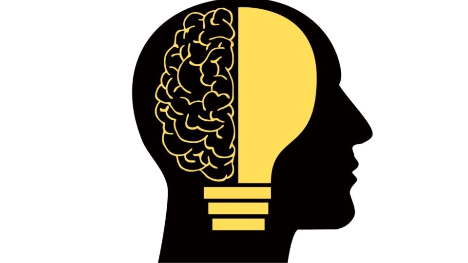 A nova fantasia da estupidez A nova fantasia da estupidez