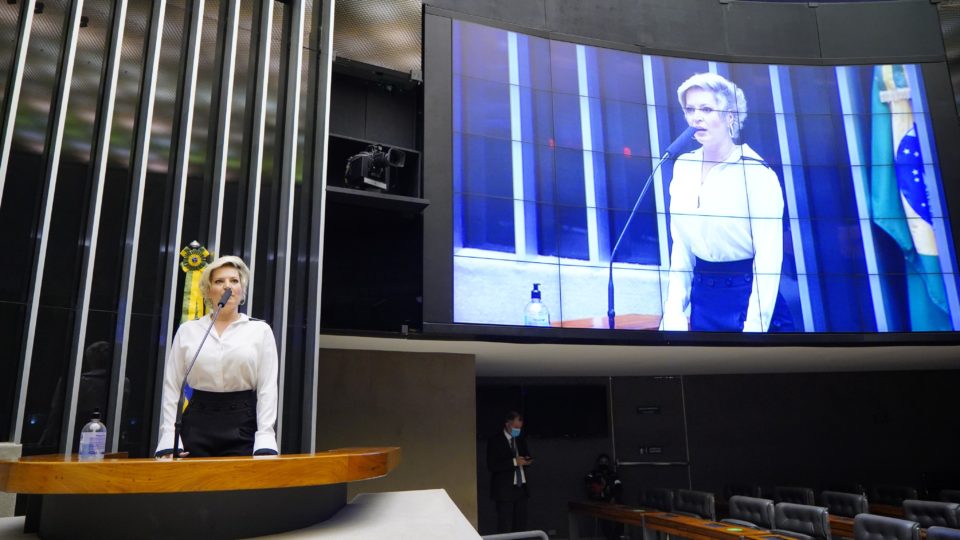 Aprovada pela Câmara, retomada do Pronampe depende de nova votação no Senado A deputada Joice Hasselmann (PSL-SP), autora do substitutivo aprovado pela Câmara que torna permanente o Pronampe.