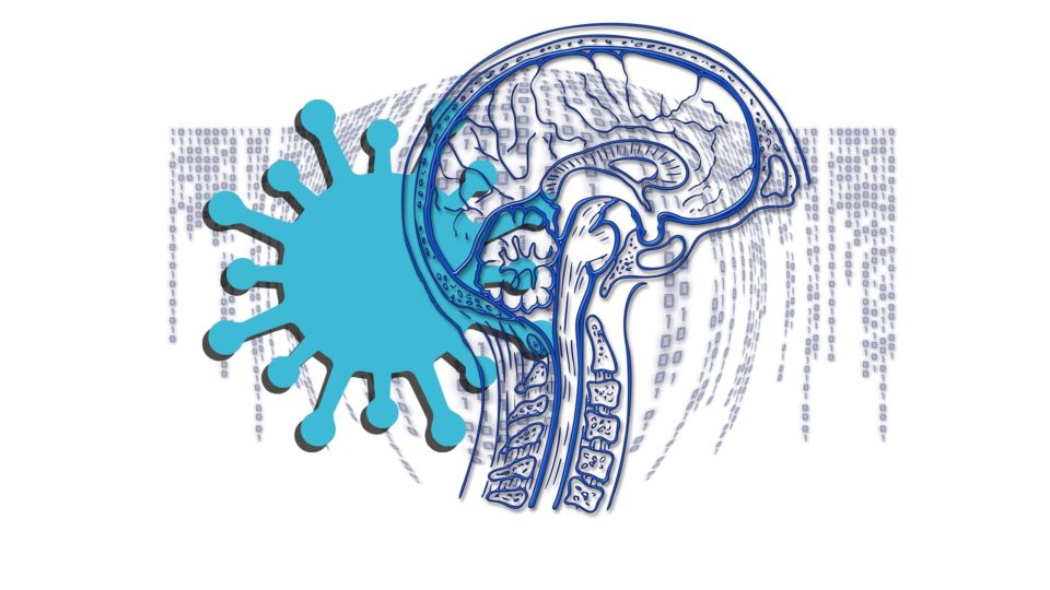 Como a Covid-19 reprogramou nossos cérebros A Covid-19 provocou um curto-circuito nas relações entre verdade, ciência, medo e cautela e em como elas afetam indivíduos e instituições.