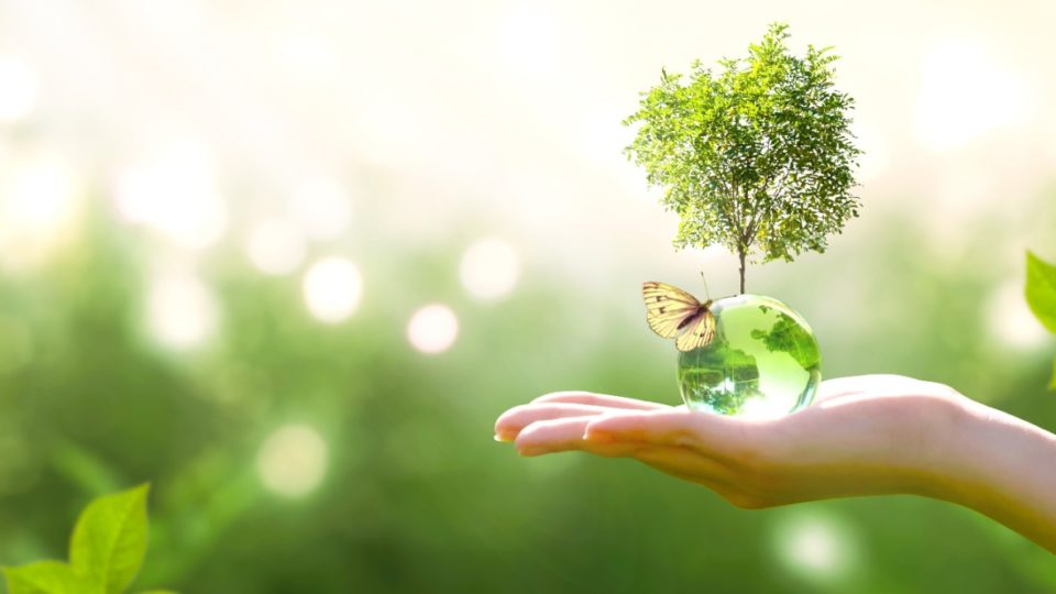 Sustentabilidade e o mundo empresarial Sustentabilidade e o mundo empresarial