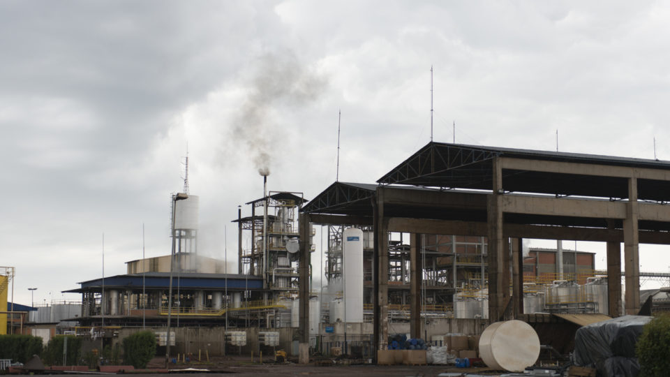 Coamo investe R$ 81 milhões em fábrica de ração e quer dobrar faturamento com milho Coamo