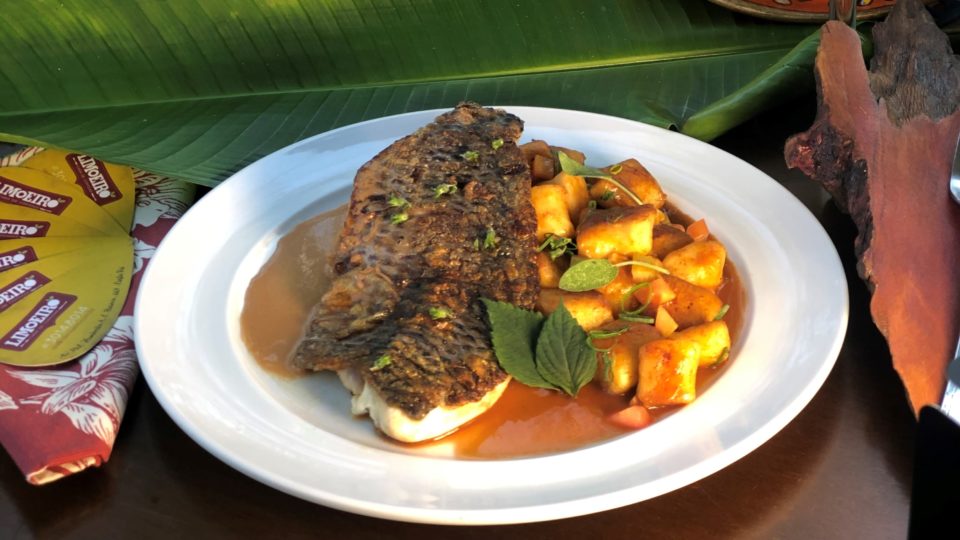 Brasil Sabor começa nesta quinta-feira com 98 restaurantes paranaenses O Festival Brasil Sabor propõe uma valorização dos produtos regionais. Na foto, a tilápia braseada, servida com gnocchi de banana ao molho bisque de camarão, criado pelo restaurante Limoeiro, em Curitiba.