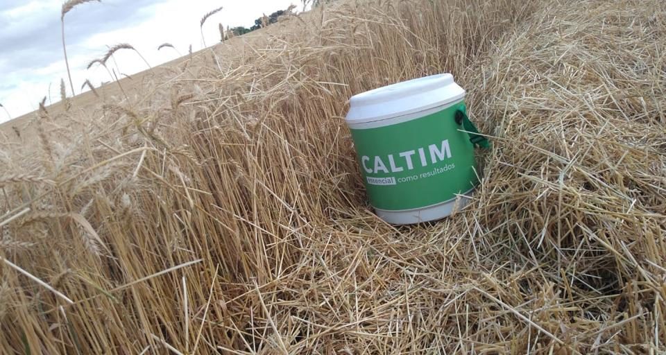 Caltim oferece solo preparado para alta produtividade Empresa de Rio Branco do Sul se consolida no Paraná e abre novos mercados.