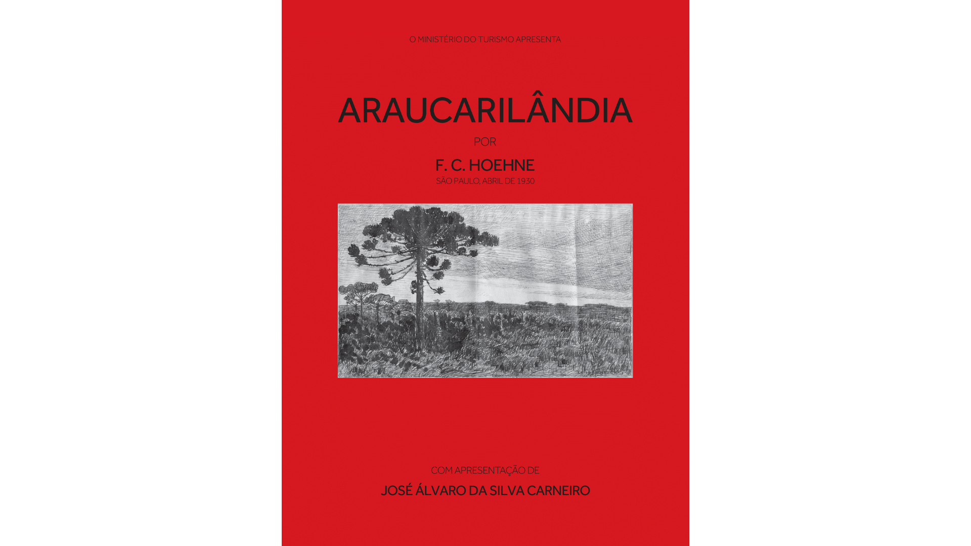 Leitura: Araucarilândia Leitura: Araucarilândia