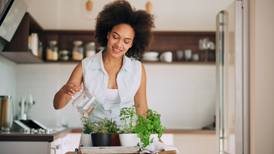 Além de decorativo e aromático, uma horta em casa oferece diversas vantagens.